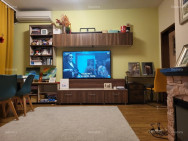 thumb_16_9675.jpg