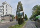 thumb_8_511.jpg